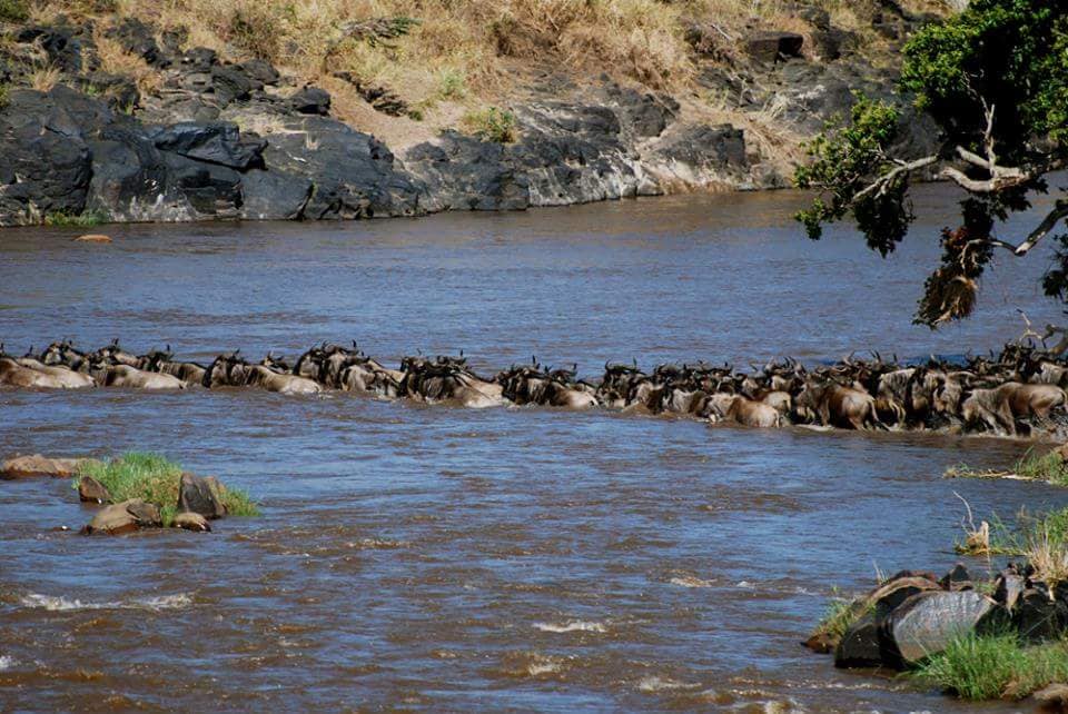 About Masai Mara National Reserve