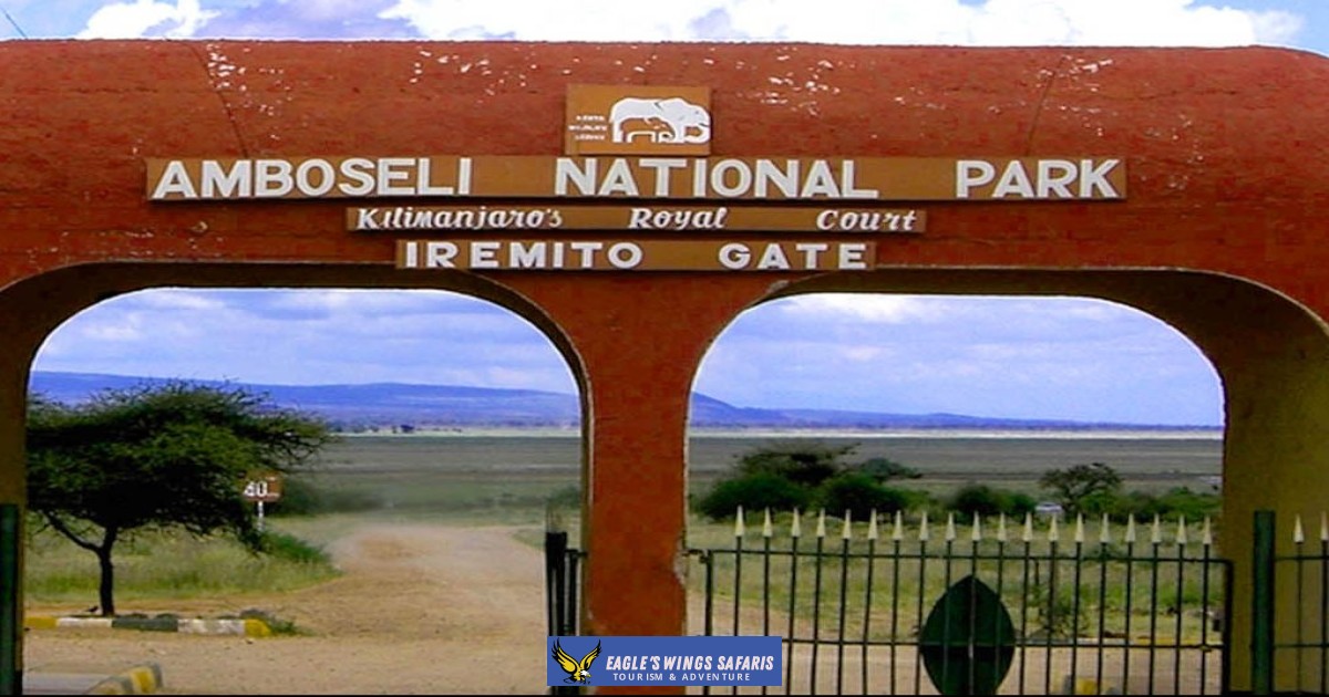 3 Days 2 Nights Amboseli National Park Game Park