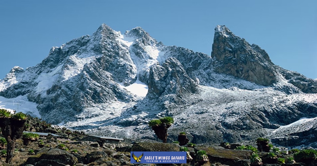 5 Days 4 Nights Mt Kenya Climbing