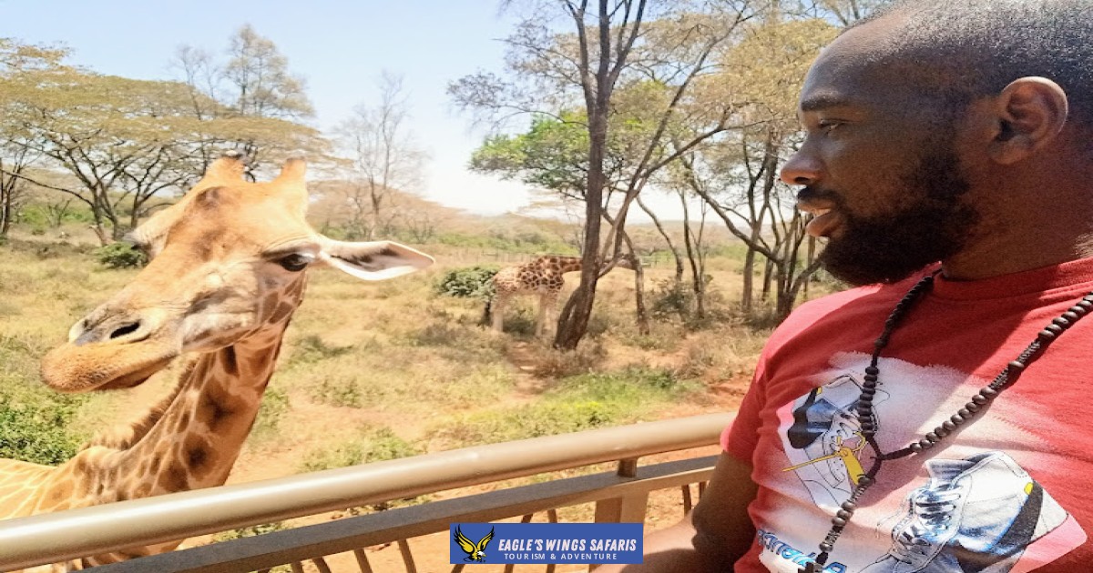 Day Trip: The Giraffe Centre Nairobi