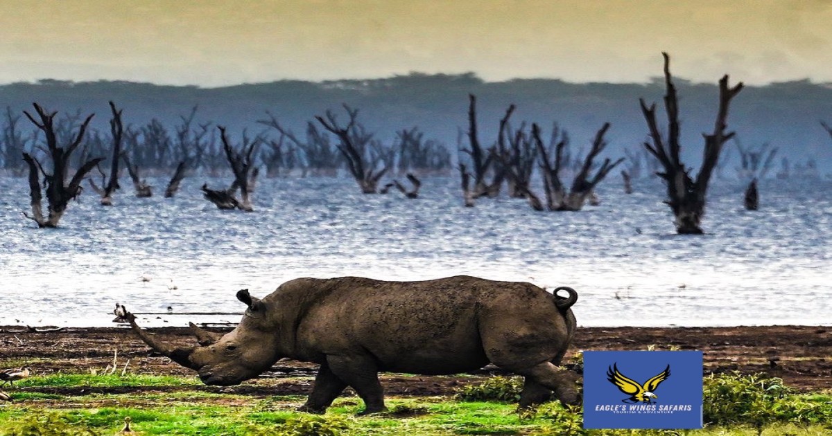 Lake Nakuru National Park