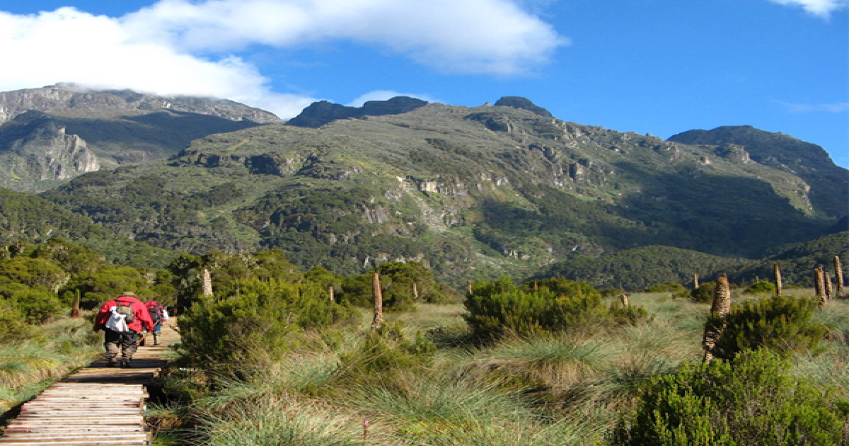 Mt Kenya Mountain Climbing